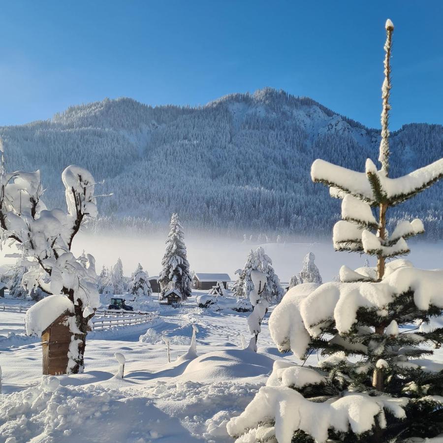 Hotel Winkler-Tuschnig Weissensee Extérieur photo